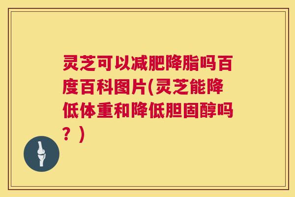 灵芝可以减肥降脂吗百度百科图片(灵芝能降低体重和降低胆固醇吗?) 第1张 灵芝可以减肥降脂吗百度百科图片(灵芝能降低体重和降低胆固醇吗?) 第1张