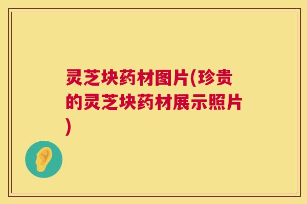 灵芝块药材图片(珍贵的灵芝块药材展示照片) 第1张 灵芝块药材图片(珍贵的灵芝块药材展示照片) 第1张