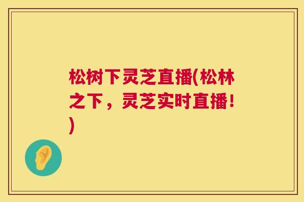 松树下灵芝直播(松林之下,灵芝实时直播!) 第1张 松树下灵芝直播(松林之下,灵芝实时直播!) 第1张