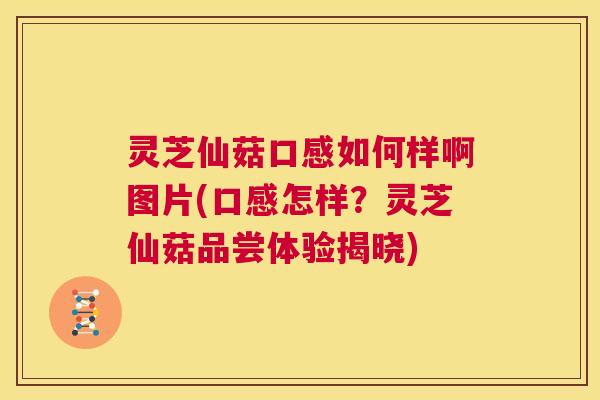 灵芝仙菇口感如何样啊图片(口感怎样?灵芝仙菇品尝体验揭晓) 第1张 灵芝仙菇口感如何样啊图片(口感怎样?灵芝仙菇品尝体验揭晓) 第1张