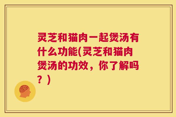 灵芝和猫肉一起煲汤有什么功能(灵芝和猫肉煲汤的功效,你了解吗?) 第1张 灵芝和猫肉一起煲汤有什么功能(灵芝和猫肉煲汤的功效,你了解吗?) 第1张
