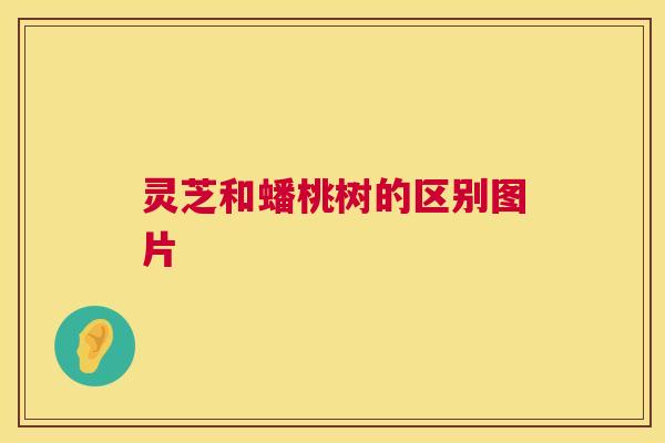灵芝和蟠桃树的区别图片 第1张 灵芝和蟠桃树的区别图片 第1张