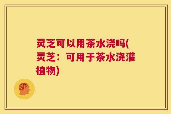 灵芝可以用茶水浇吗(灵芝:可用于茶水浇灌植物) 第1张 灵芝可以用茶水浇吗(灵芝:可用于茶水浇灌植物) 第1张