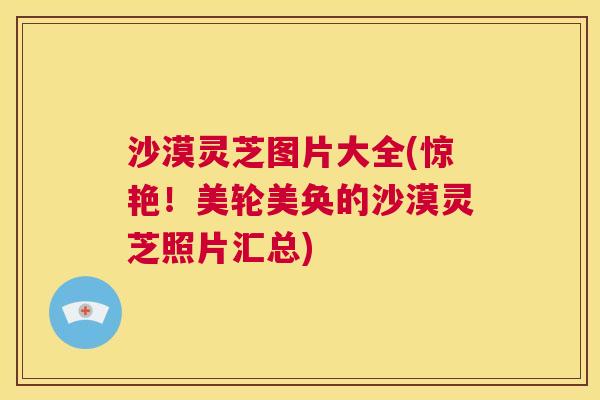 沙漠灵芝图片大全(惊艳!美轮美奂的沙漠灵芝照片汇总) 第1张 沙漠灵芝图片大全(惊艳!美轮美奂的沙漠灵芝照片汇总) 第1张