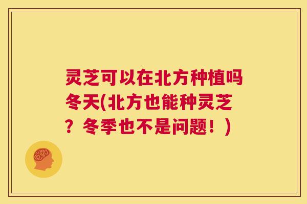 灵芝可以在北方种植吗冬天(北方也能种灵芝?冬季也不是问题!) 第1张 灵芝可以在北方种植吗冬天(北方也能种灵芝?冬季也不是问题!) 第1张