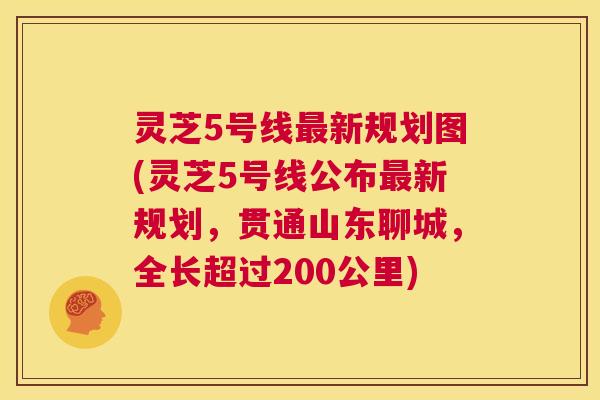灵芝5号线最新规划图(灵芝5号线公布最新规划,贯通山东聊城,全长超过200公里) 第1张 灵芝5号线最新规划图(灵芝5号线公布最新规划,贯通山东聊城,全长超过200公里) 第1张