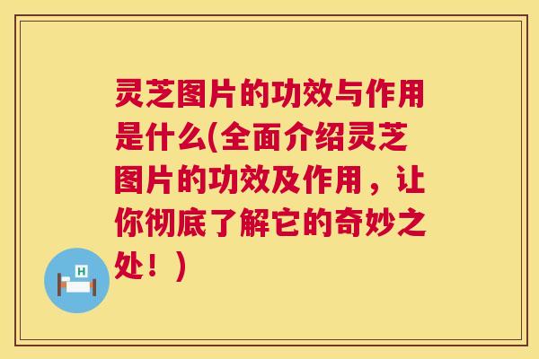 灵芝图片的功效与作用是什么(全面介绍灵芝图片的功效及作用，让你彻底了解它的奇妙之处！)  第1张