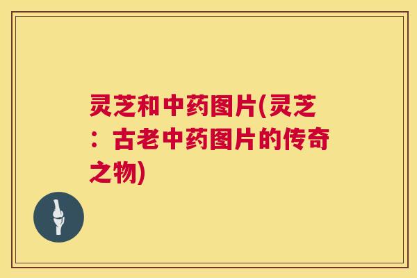 灵芝和中药图片(灵芝：古老中药图片的传奇之物)  第1张