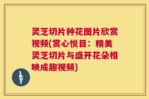灵芝切片种花图片欣赏视频(赏心悦目：精美灵芝切片与盛开花朵相映成趣视频)  第1张