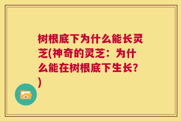 树根底下为什么能长灵芝(神奇的灵芝:为什么能在树根底下生长?) 第1张 树根底下为什么能长灵芝(神奇的灵芝:为什么能在树根底下生长?) 第1张