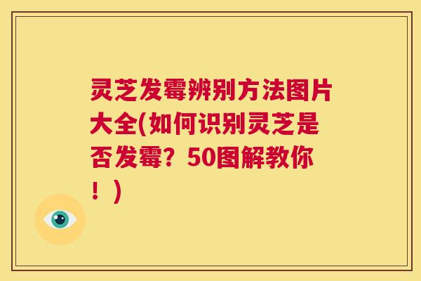 灵芝发霉辨别方法图片大全(如何识别灵芝是否发霉?50图解教你!) 第1张 灵芝发霉辨别方法图片大全(如何识别灵芝是否发霉?50图解教你!) 第1张