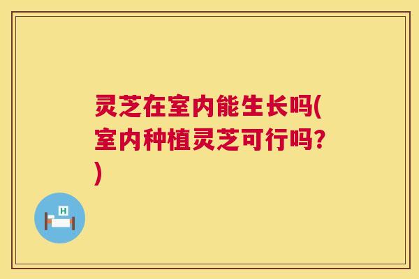 灵芝在室内能生长吗(室内种植灵芝可行吗?) 第1张 灵芝在室内能生长吗(室内种植灵芝可行吗?) 第1张