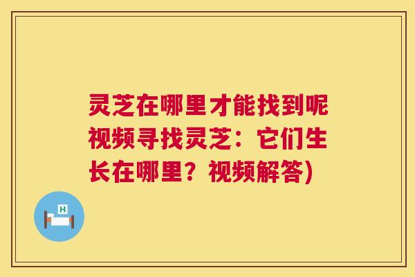 灵芝在哪里才能找到呢视频寻找灵芝:它们生长在哪里?视频解答) 第1张 灵芝在哪里才能找到呢视频寻找灵芝:它们生长在哪里?视频解答) 第1张
