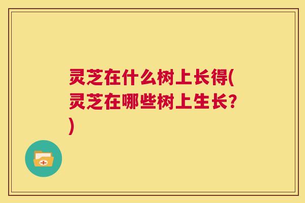 灵芝在什么树上长得(灵芝在哪些树上生长?) 第1张 灵芝在什么树上长得(灵芝在哪些树上生长?) 第1张