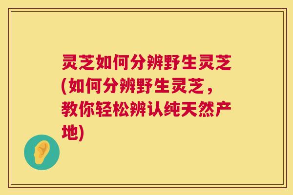 灵芝如何分辨野生灵芝(如何分辨野生灵芝,教你轻松辨认纯天然产地) 第1张 灵芝如何分辨野生灵芝(如何分辨野生灵芝,教你轻松辨认纯天然产地) 第1张