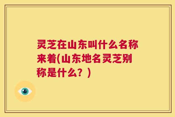 灵芝在山东叫什么名称来着(山东地名灵芝别称是什么？)  第1张