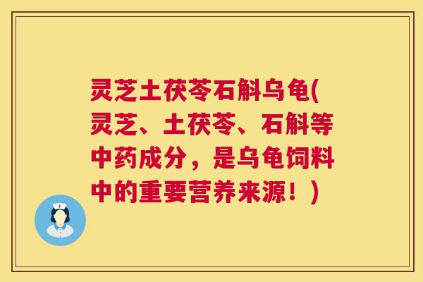 灵芝土茯苓石斛乌龟(灵芝、土茯苓、石斛等中药成分，是乌龟饲料中的重要营养来源！)  第1张