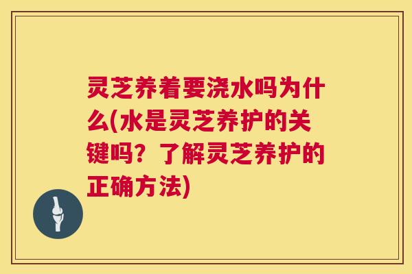 灵芝养着要浇水吗为什么(水是灵芝养护的关键吗?了解灵芝养护的正确方法) 第1张 灵芝养着要浇水吗为什么(水是灵芝养护的关键吗?了解灵芝养护的正确方法) 第1张