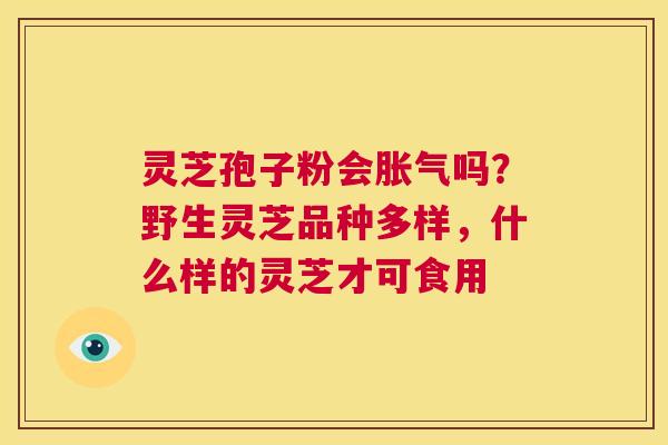 灵芝孢子粉会胀气吗?野生灵芝品种多样,什么样的灵芝才可食用 第1张 灵芝孢子粉会胀气吗?野生灵芝品种多样,什么样的灵芝才可食用 第1张
