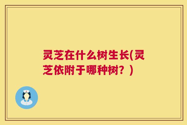 灵芝在什么树生长(灵芝依附于哪种树？)  第1张