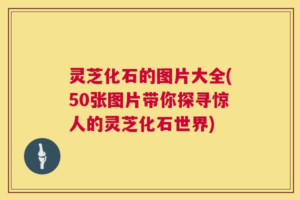 灵芝化石的图片大全(50张图片带你探寻惊人的灵芝化石世界) 第1张 灵芝化石的图片大全(50张图片带你探寻惊人的灵芝化石世界) 第1张