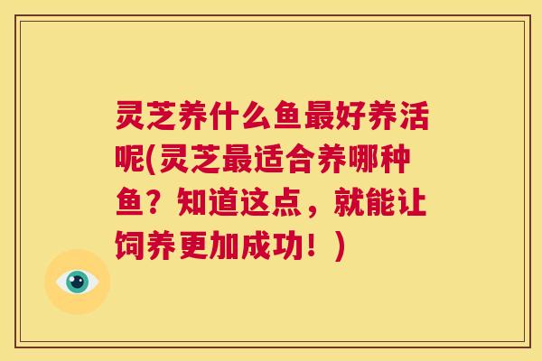 灵芝养什么鱼最好养活呢(灵芝最适合养哪种鱼？知道这点，就能让饲养更加成功！)  第1张