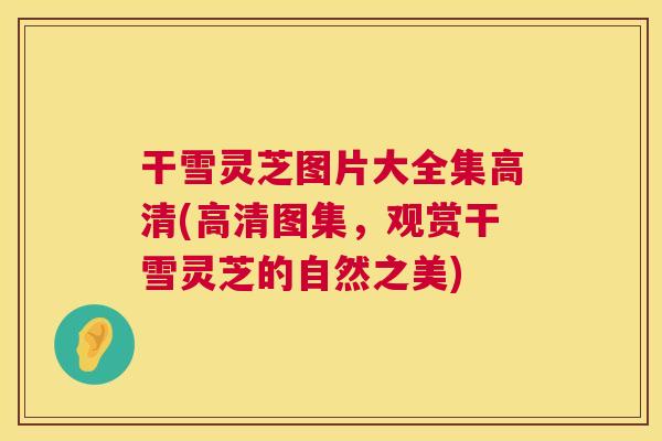 干雪灵芝图片大全集高清(高清图集,观赏干雪灵芝的自然之美) 第1张 干雪灵芝图片大全集高清(高清图集,观赏干雪灵芝的自然之美) 第1张