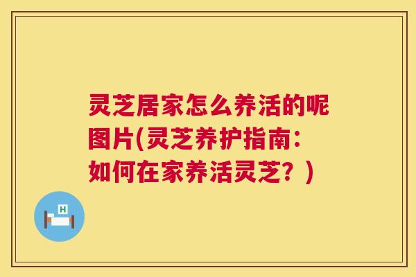 灵芝居家怎么养活的呢图片(灵芝养护指南:如何在家养活灵芝?) 第1张 灵芝居家怎么养活的呢图片(灵芝养护指南:如何在家养活灵芝?) 第1张