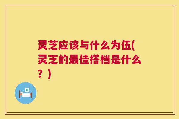 灵芝应该与什么为伍(灵芝的最佳搭档是什么？)  第1张