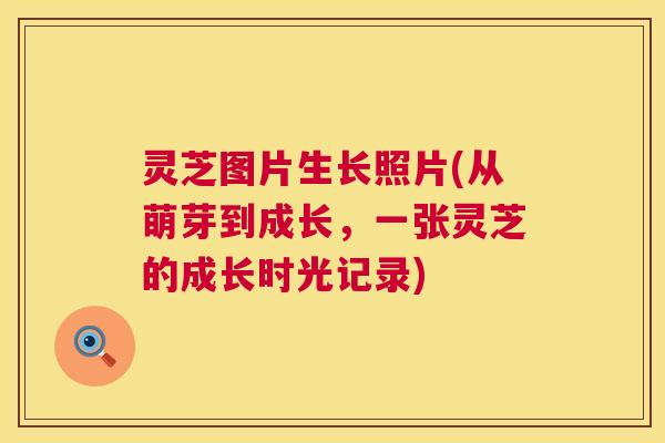 灵芝图片生长照片(从萌芽到成长,一张灵芝的成长时光记录) 第1张 灵芝图片生长照片(从萌芽到成长,一张灵芝的成长时光记录) 第1张