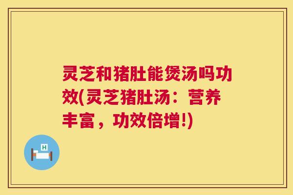 灵芝和猪肚能煲汤吗功效(灵芝猪肚汤：营养丰富，功效倍增!)  第1张