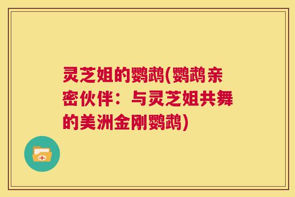 灵芝姐的鹦鹉(鹦鹉亲密伙伴:与灵芝姐共舞的美洲金刚鹦鹉) 第1张 灵芝姐的鹦鹉(鹦鹉亲密伙伴:与灵芝姐共舞的美洲金刚鹦鹉) 第1张