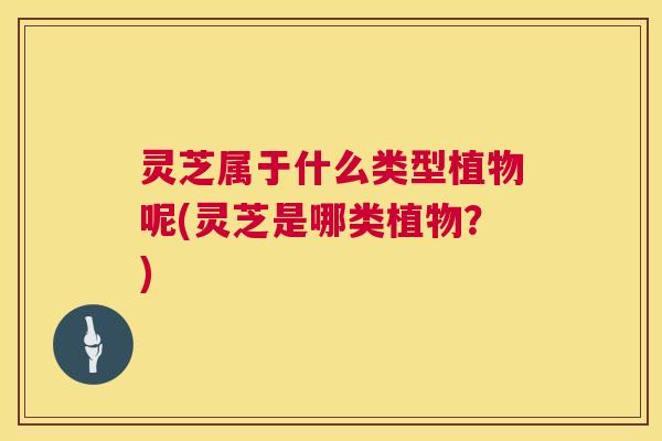 灵芝属于什么类型植物呢(灵芝是哪类植物?) 第1张 灵芝属于什么类型植物呢(灵芝是哪类植物?) 第1张