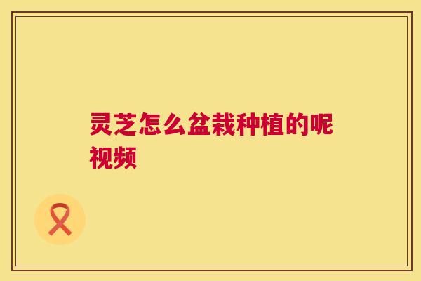 灵芝怎么盆栽种植的呢视频  第1张