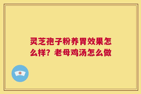 灵芝孢子粉养胃效果怎么样?老母鸡汤怎么做 第1张 灵芝孢子粉养胃效果怎么样?老母鸡汤怎么做 第1张