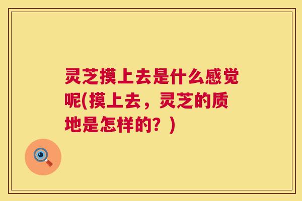 灵芝摸上去是什么感觉呢(摸上去,灵芝的质地是怎样的?) 第1张 灵芝摸上去是什么感觉呢(摸上去,灵芝的质地是怎样的?) 第1张