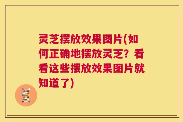 灵芝摆放效果图片(如何正确地摆放灵芝?看看这些摆放效果图片就知道了) 第1张 灵芝摆放效果图片(如何正确地摆放灵芝?看看这些摆放效果图片就知道了) 第1张