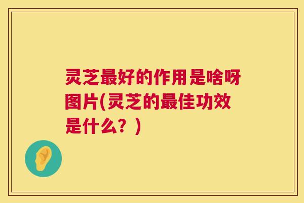 灵芝最好的作用是啥呀图片(灵芝的最佳功效是什么?) 第1张 灵芝最好的作用是啥呀图片(灵芝的最佳功效是什么?) 第1张