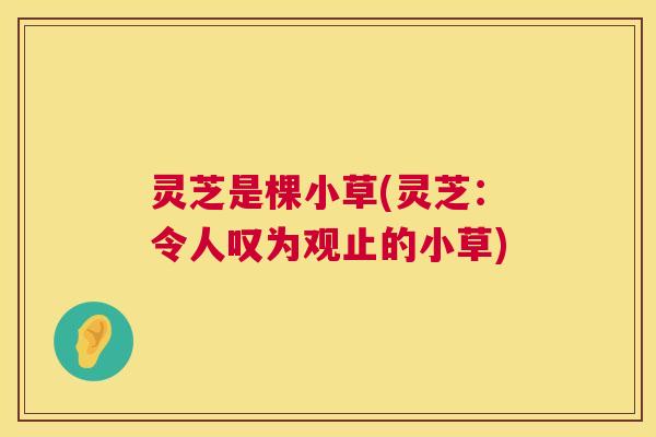 灵芝是棵小草(灵芝：令人叹为观止的小草)  第1张