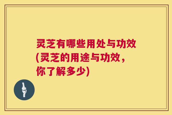 灵芝有哪些用处与功效(灵芝的用途与功效,你了解多少) 第1张 灵芝有哪些用处与功效(灵芝的用途与功效,你了解多少) 第1张