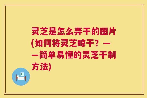 灵芝是怎么弄干的图片(如何将灵芝晾干?——简单易懂的灵芝干制方法) 第1张 灵芝是怎么弄干的图片(如何将灵芝晾干?——简单易懂的灵芝干制方法) 第1张