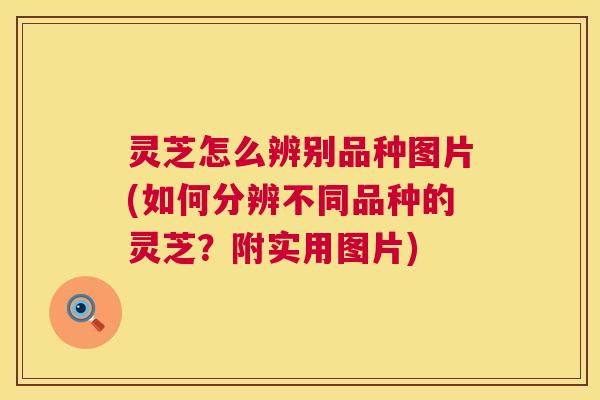 灵芝怎么辨别品种图片(如何分辨不同品种的灵芝?附实用图片) 第1张 灵芝怎么辨别品种图片(如何分辨不同品种的灵芝?附实用图片) 第1张