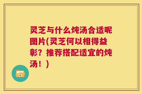 灵芝与什么炖汤合适呢图片(灵芝何以相得益彰?推荐搭配适宜的炖汤!) 第1张 灵芝与什么炖汤合适呢图片(灵芝何以相得益彰?推荐搭配适宜的炖汤!) 第1张