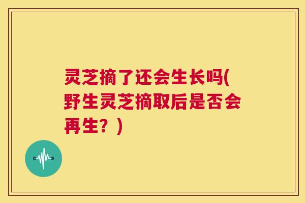 灵芝摘了还会生长吗(野生灵芝摘取后是否会再生?) 第1张 灵芝摘了还会生长吗(野生灵芝摘取后是否会再生?) 第1张
