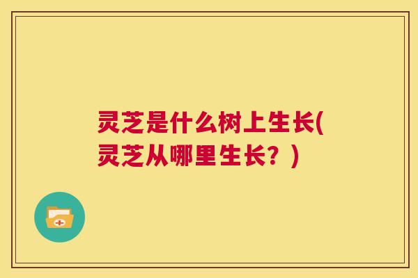 灵芝是什么树上生长(灵芝从哪里生长?) 第1张 灵芝是什么树上生长(灵芝从哪里生长?) 第1张