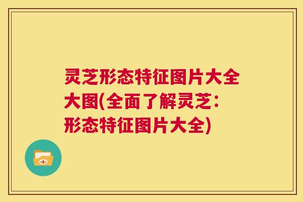 灵芝形态特征图片大全大图(全面了解灵芝:形态特征图片大全) 第1张 灵芝形态特征图片大全大图(全面了解灵芝:形态特征图片大全) 第1张