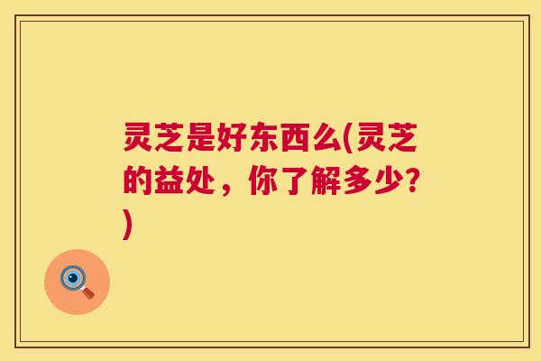 灵芝是好东西么(灵芝的益处,你了解多少?) 第1张 灵芝是好东西么(灵芝的益处,你了解多少?) 第1张