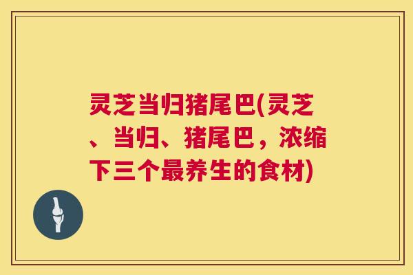 灵芝当归猪尾巴(灵芝、当归、猪尾巴,浓缩下三个最养生的食材) 第1张 灵芝当归猪尾巴(灵芝、当归、猪尾巴,浓缩下三个最养生的食材) 第1张
