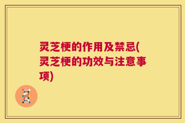 灵芝梗的作用及禁忌(灵芝梗的功效与注意事项) 第1张 灵芝梗的作用及禁忌(灵芝梗的功效与注意事项) 第1张