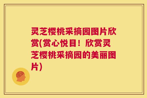 灵芝樱桃采摘园图片欣赏(赏心悦目！欣赏灵芝樱桃采摘园的美丽图片)  第1张